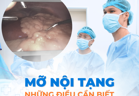 Tìm hiểu về mỡ nội tạng 